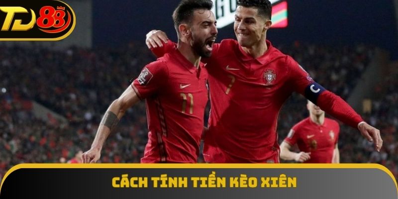 Hướng dẫn tính tiền cược xiên chuẩn xác nhất